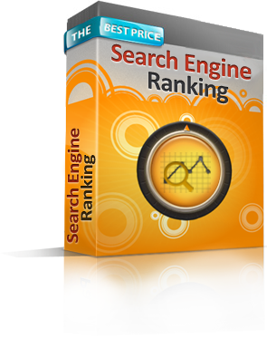 Search Engine Ranking Report